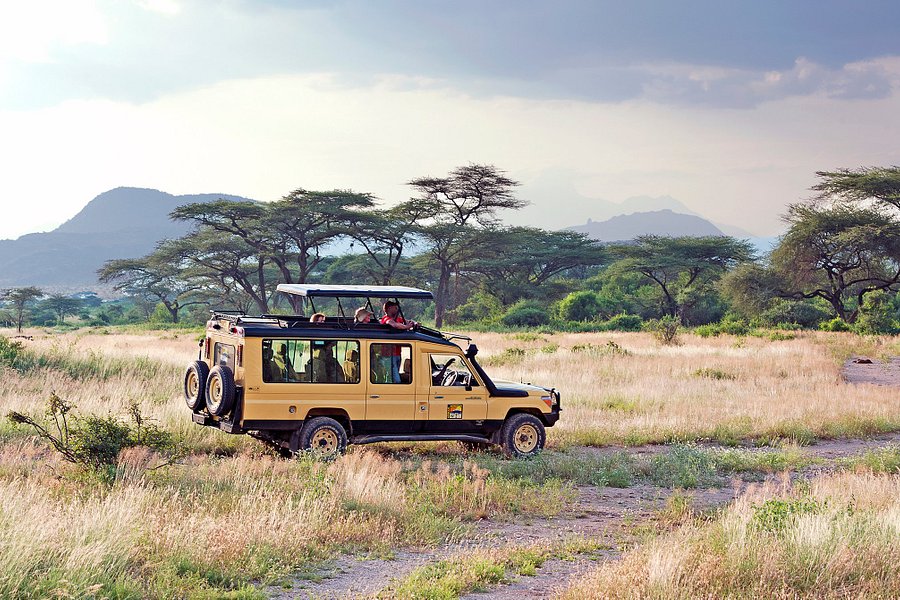 african horizons travel & safaris ltd