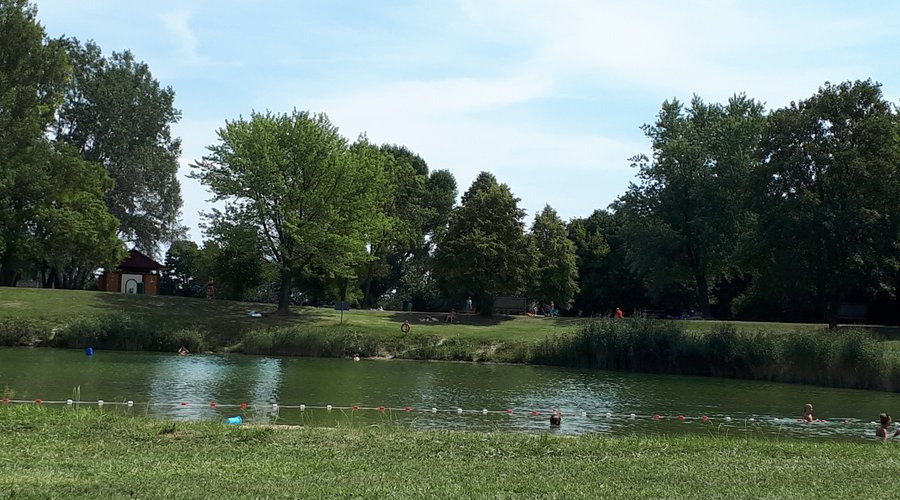 Blick zum See