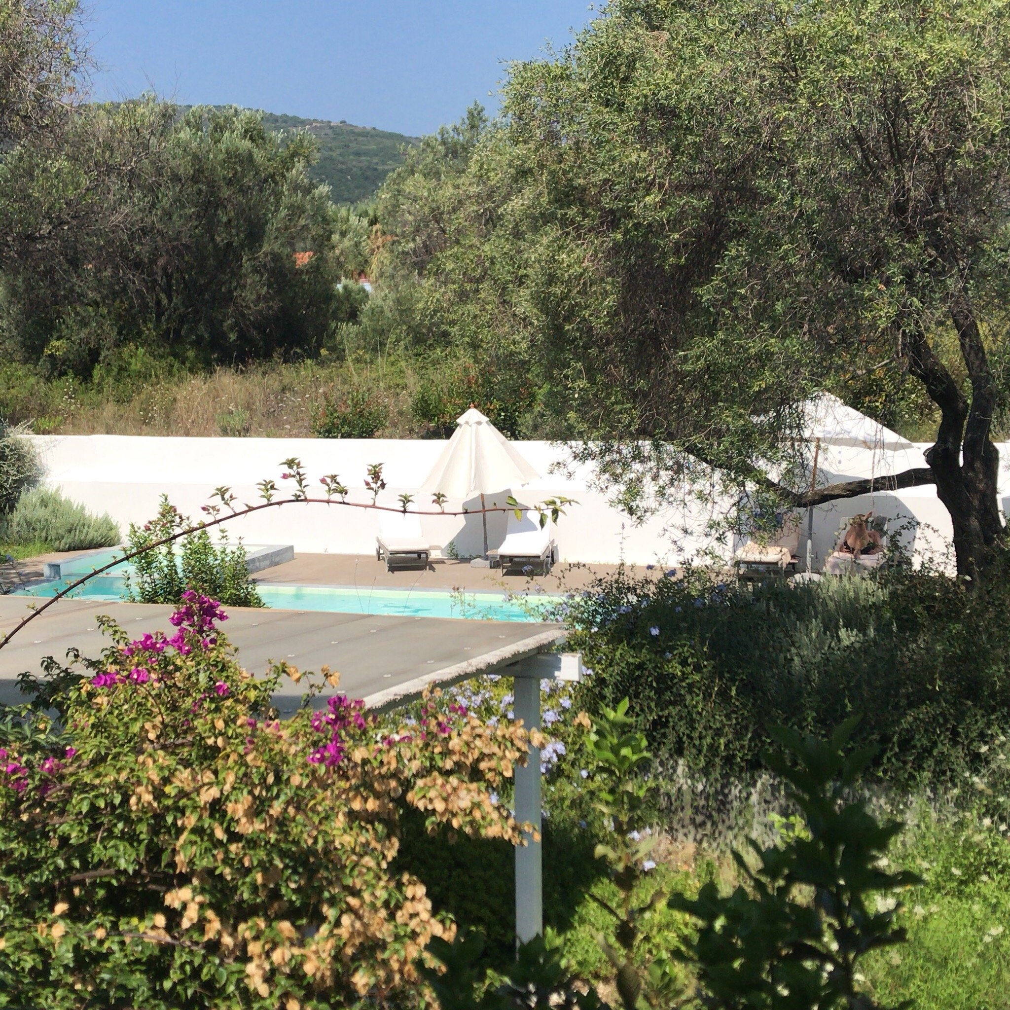 OLIVEMARE B&B (Cefalonia/Katelios): Prezzi E Recensioni (2024)