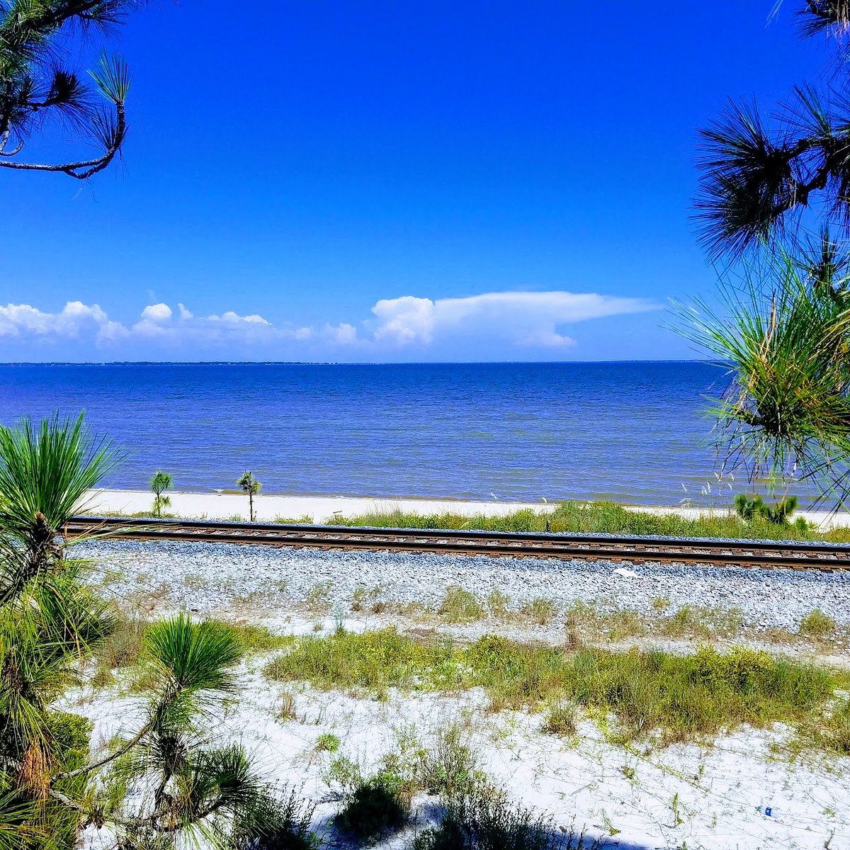 Bay Bluffs Park (Pensacola) All You Need to Know BEFORE You Go