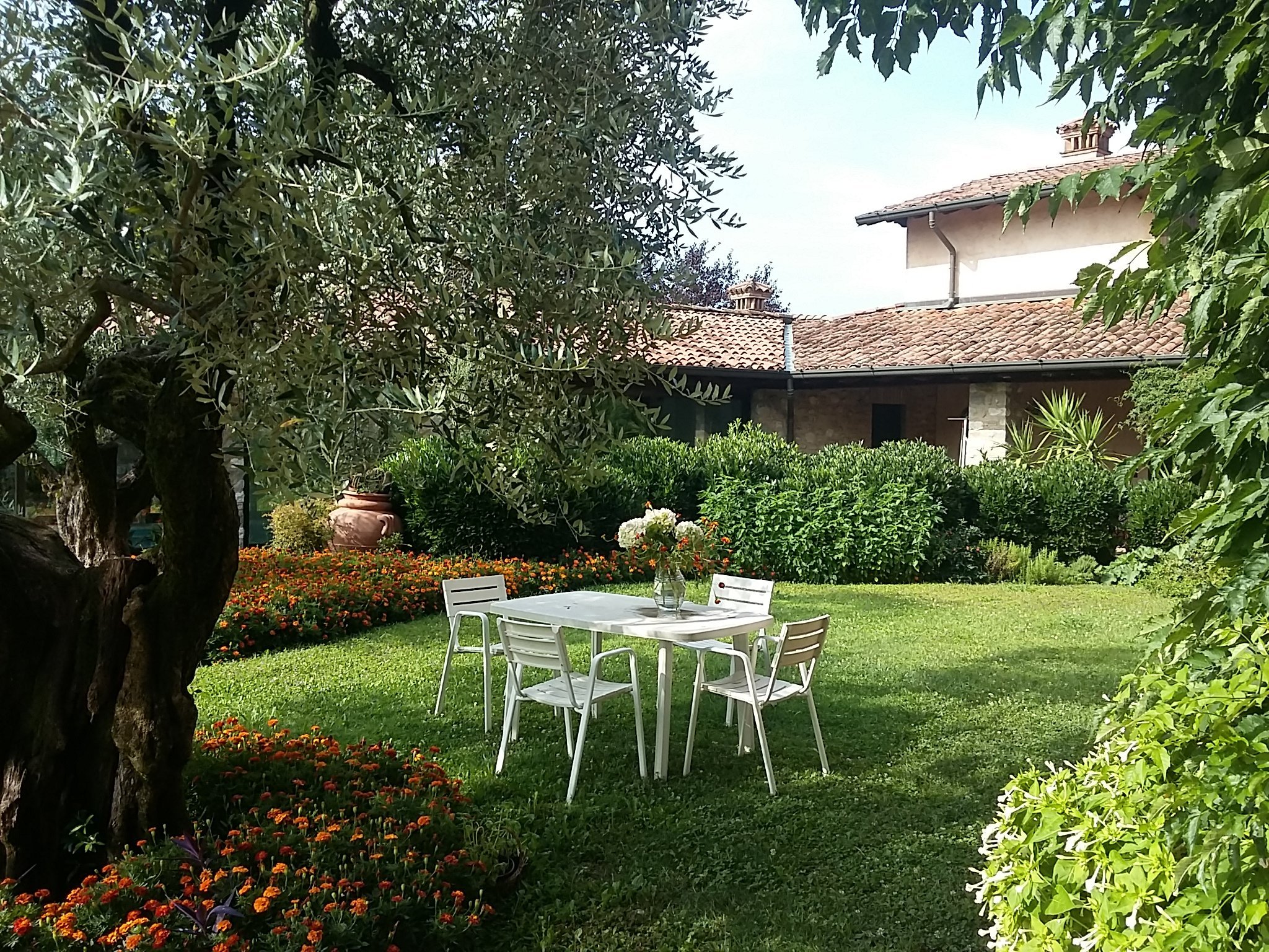 B&B IL DOSSO - Reviews, Photos