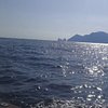 Antonietta M