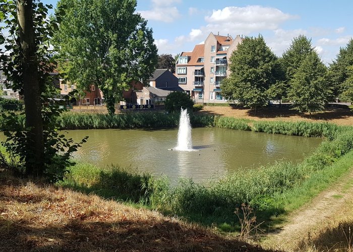 Stadswallen Hulst