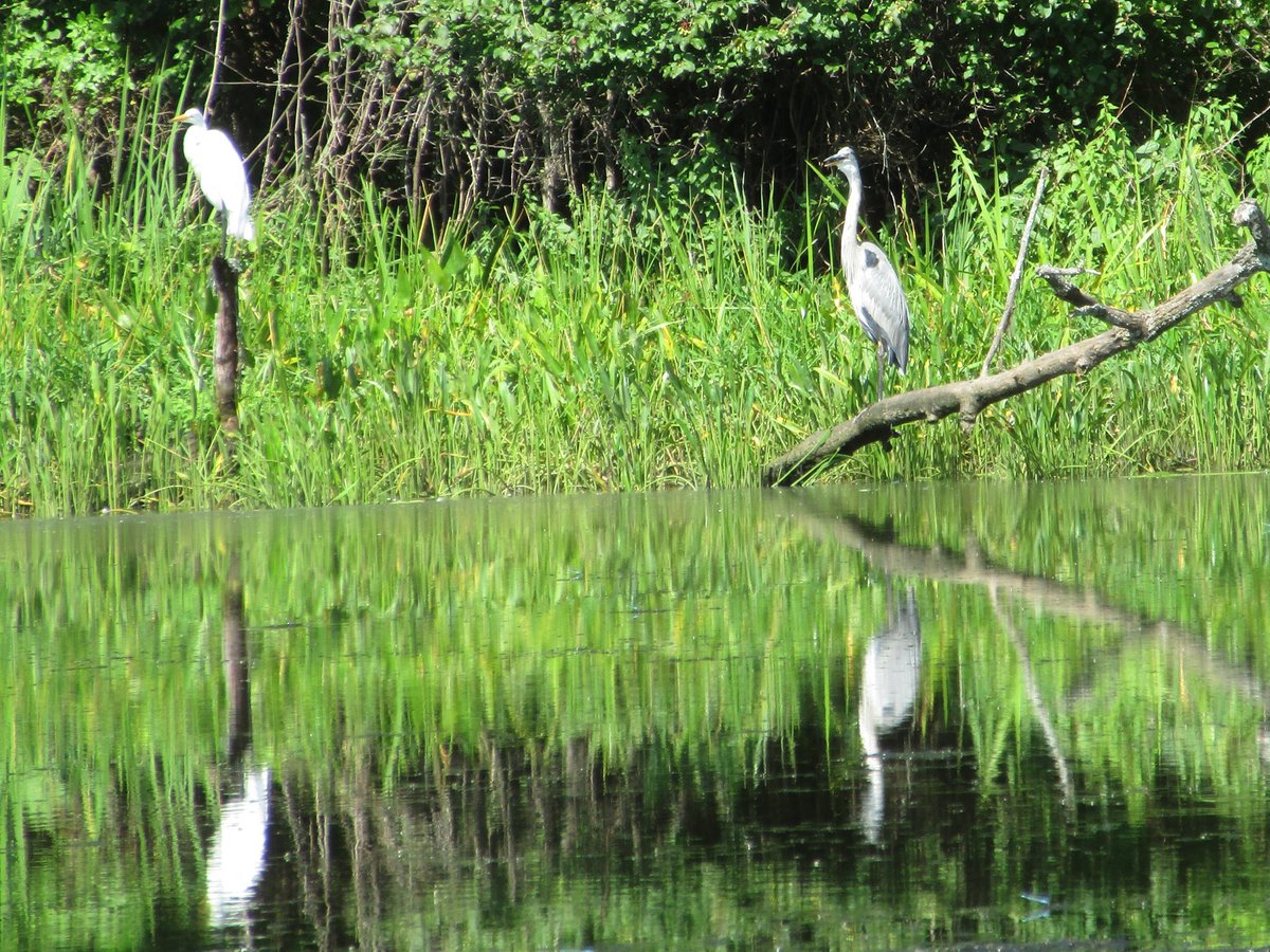 Smallwood State Park - All You Need to Know BEFORE You Go (2024)