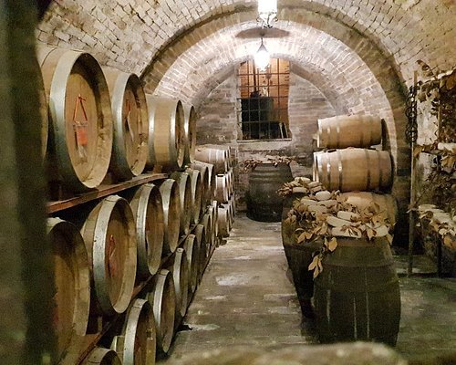 Les routes des vins de la France et de l'Italie - Mordus d'Italie