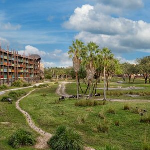 Disney's Animal Kingdom Lodge - Disney World