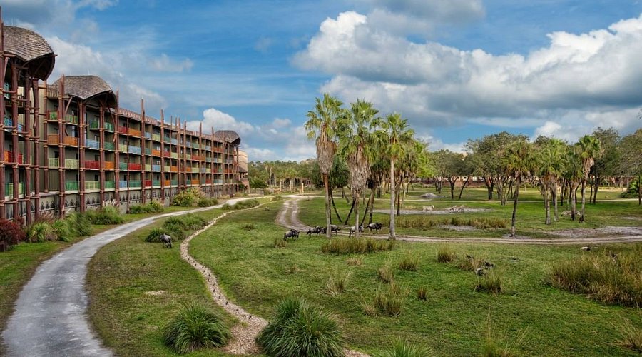 Disney's Animal Kingdom Lodge