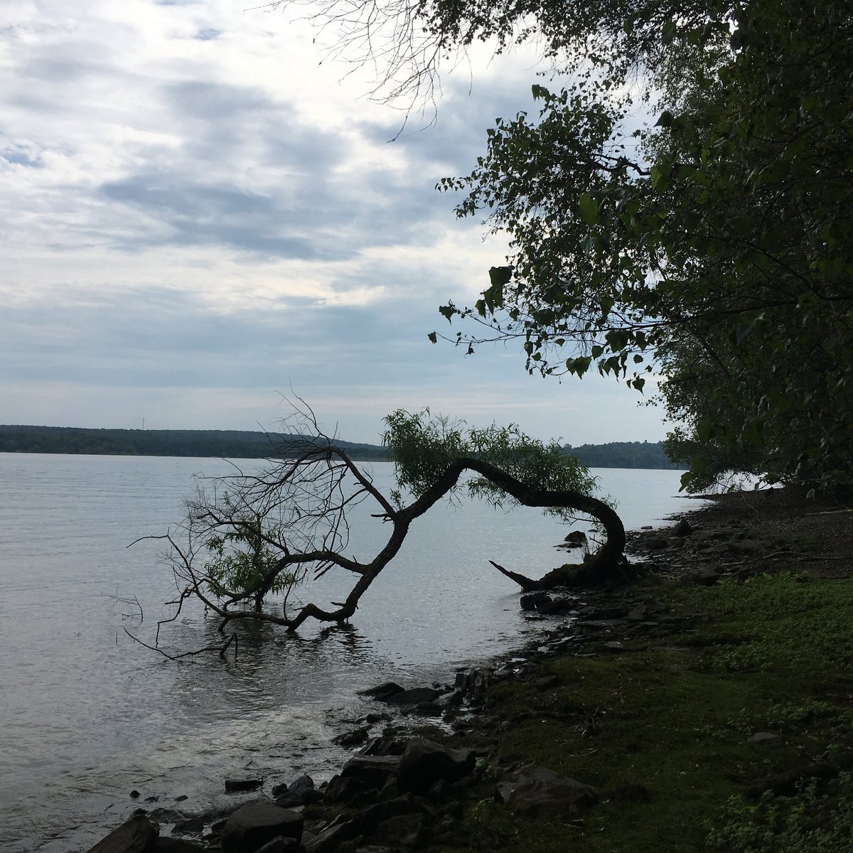 Shuman Point Hiking Trail Shuman Point Hiking Trail (Tafton) - All You Need To Know Before You Go