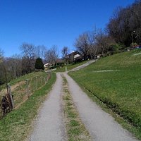 Gera