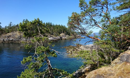 View from end of trail