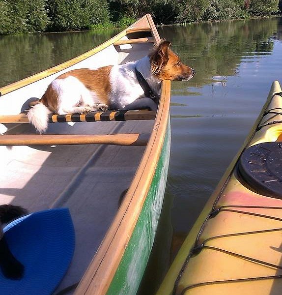 Canoe renting - Little Danube image