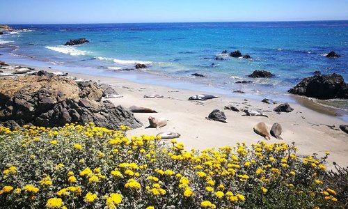 Seals