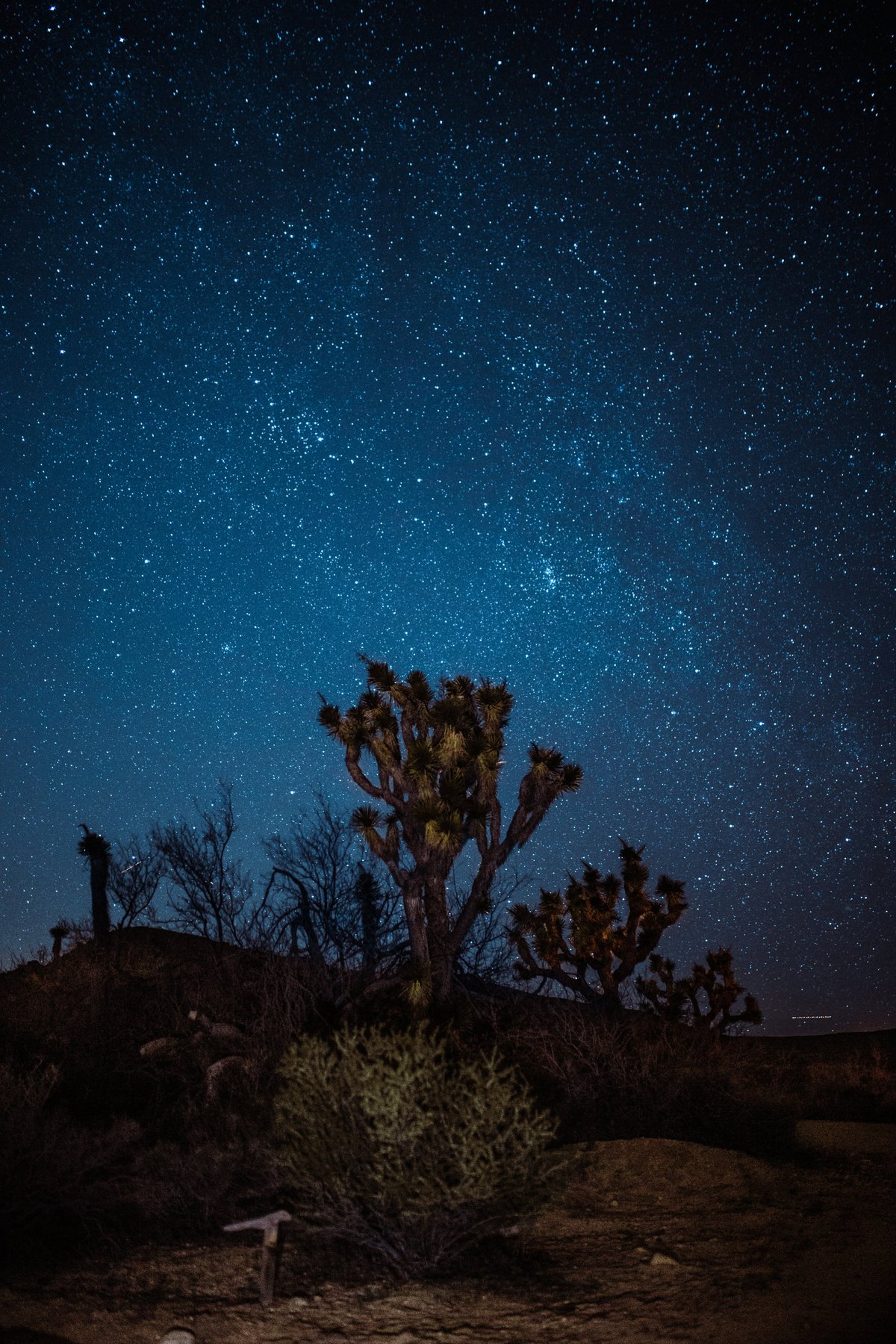 Green Gems of the Desert: The Allure of Siwa's Palm Tree Haven - XIII. Stargazing in the Desert