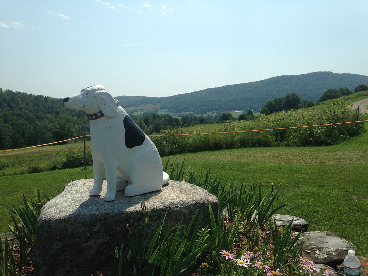 Dogs Welcome - Mat  Dog Mountain, VT - Stephen Huneck