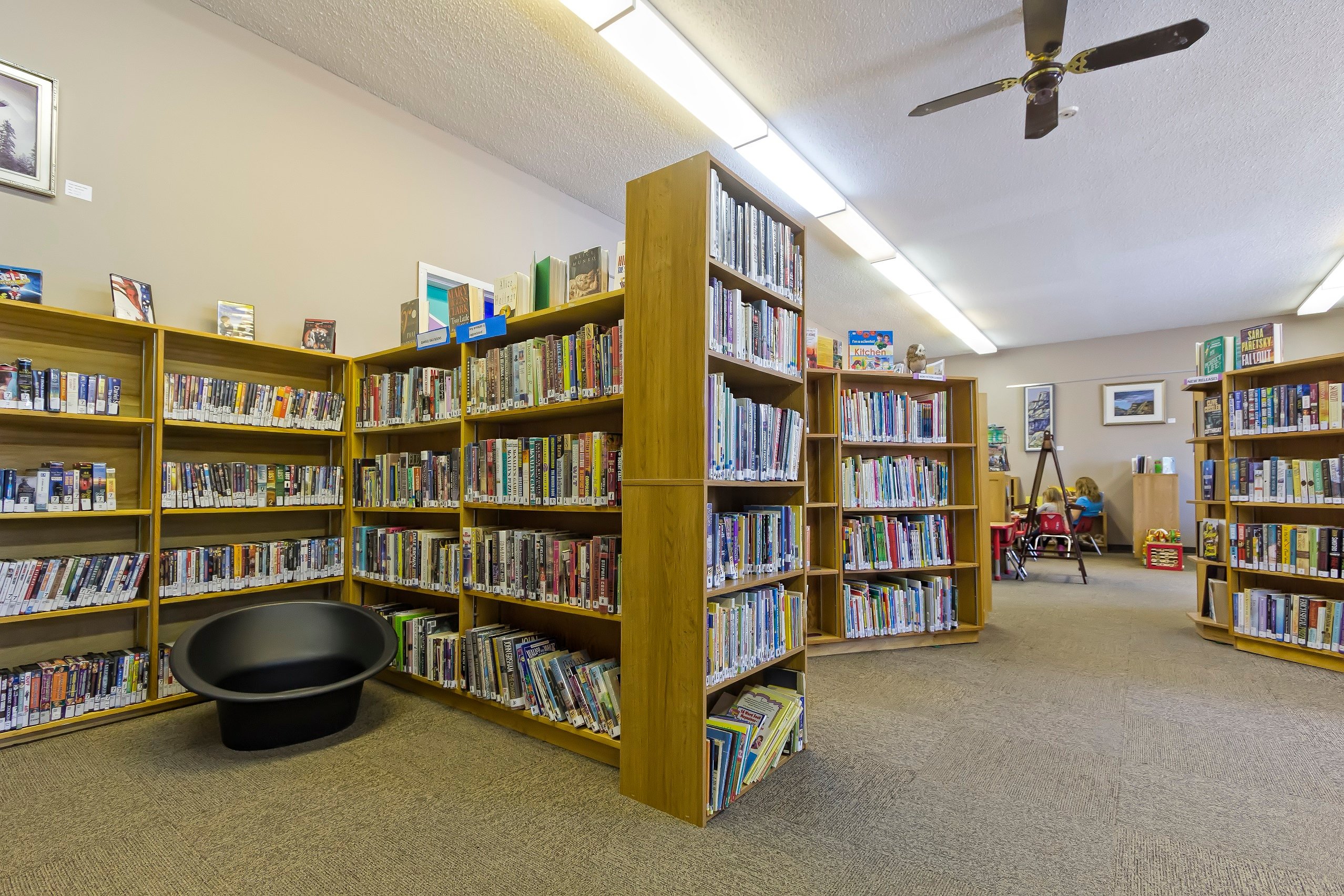 DUCHESS DISTRICT PUBLIC LIBRARY 2023 What To Know BEFORE You Go   Book Shelves 