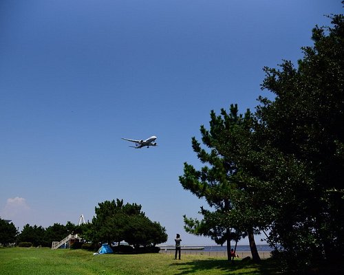 大田区の公園 自然 ベスト10 トリップアドバイザー