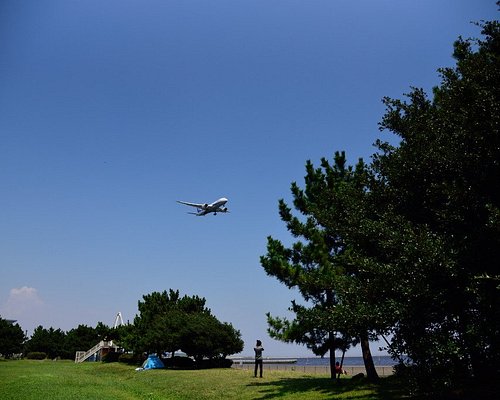 大田区の公園 自然 ベスト10 トリップアドバイザー 大田区の公園 自然 ベスト10 トリップアドバイザー