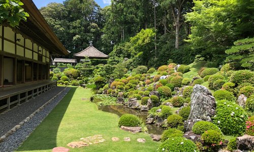 浜真敦帰宅にある龍潭寺。それほと大きなお寺ではありませんが、庭園がとてもきれいでした。静岡にいながら京都を感じられる素敵な空間でした。
