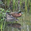 Boondall Wetlands Environment Centre