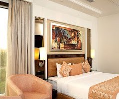 Room & Suite