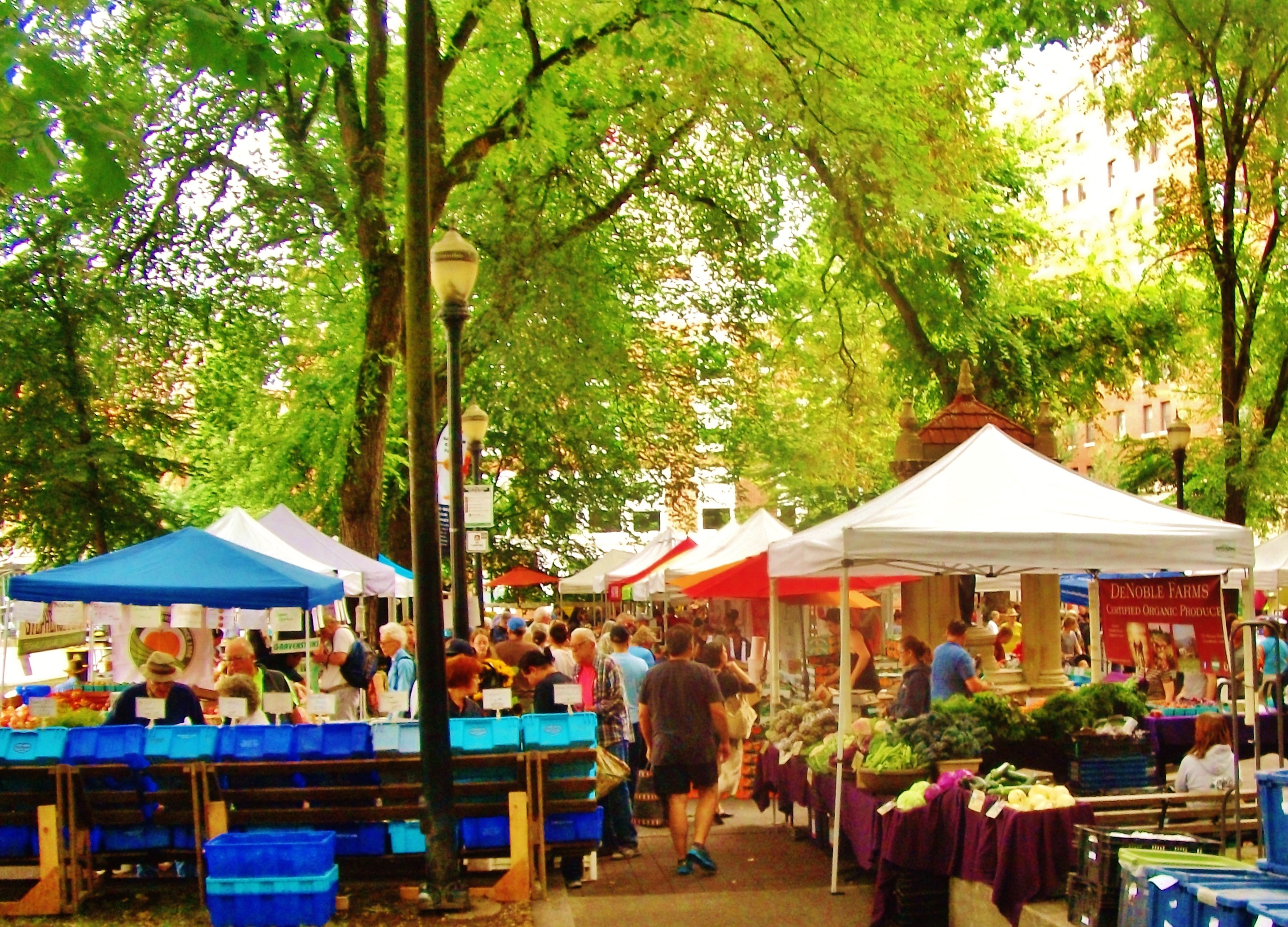 Portland Farmer S Market O Que Saber Antes De Ir 2024   Looking North At All 