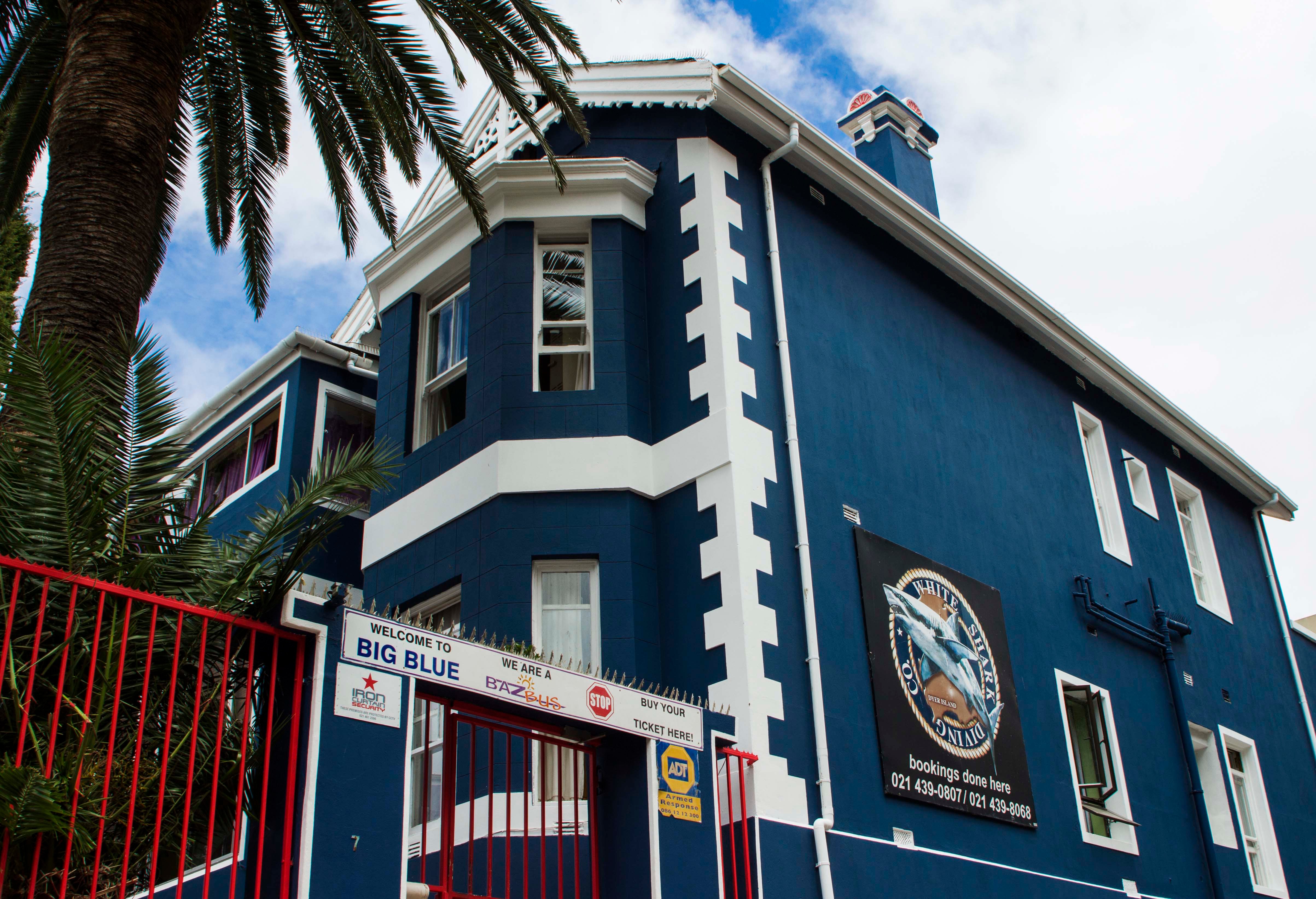 BIG BLUE BACKPACKERS Hôtel (Cape Town, Afrique Du Sud) : Tarifs 2024 Et ...