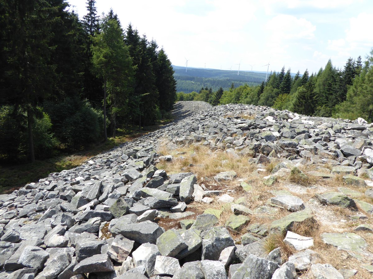 RINGWALL VON OTZENHAUSEN (Nonnweiler): Ce qu'il faut savoir pour votre  visite (avec photos)