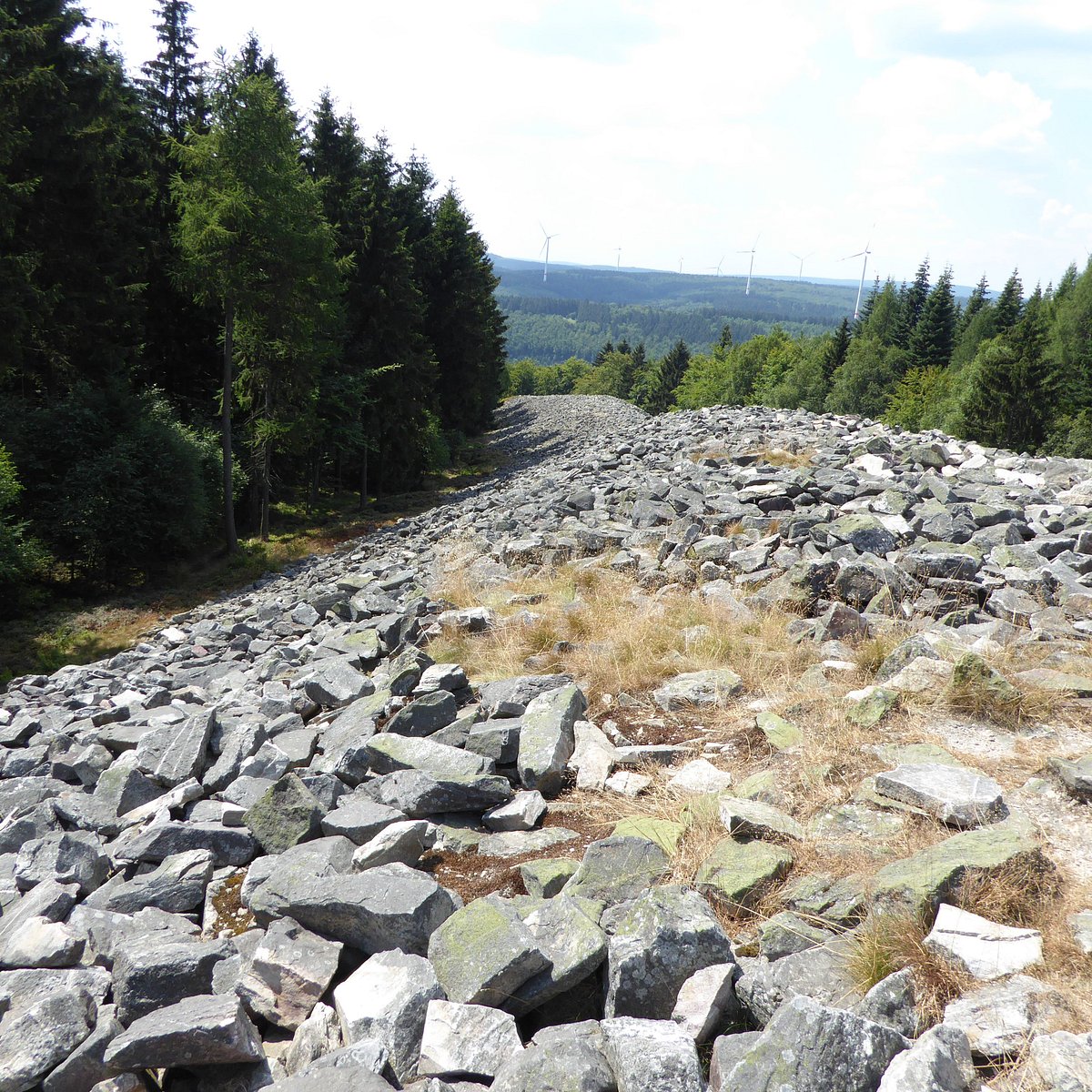 RINGWALL VON OTZENHAUSEN (Nonnweiler): Ce qu'il faut savoir pour votre  visite (avec photos)