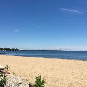 are dogs allowed at silver sands state park ct