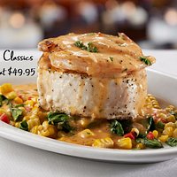 3 Courses Starting at $49.95