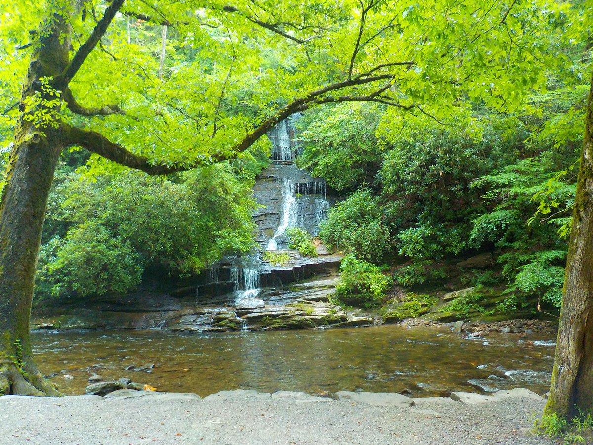 Trout Fishing in Deep Creek and Indian Creek - Bryson City NC