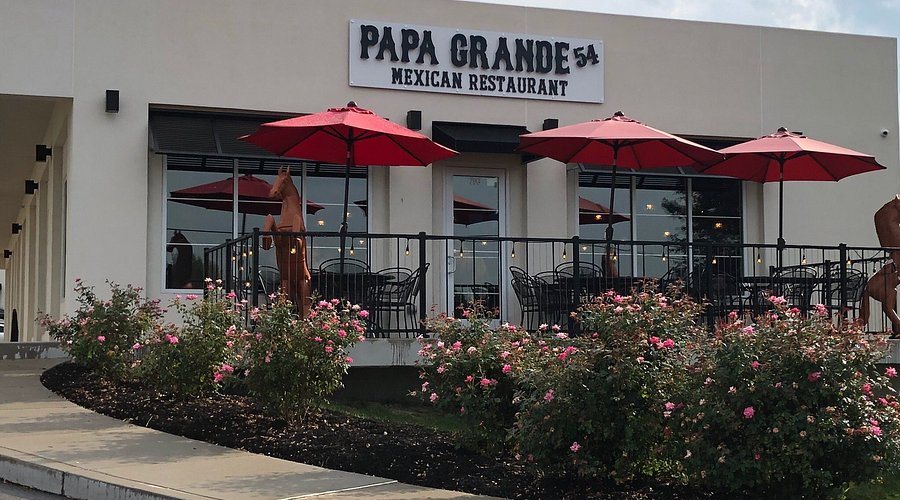 Papa Grande on 54