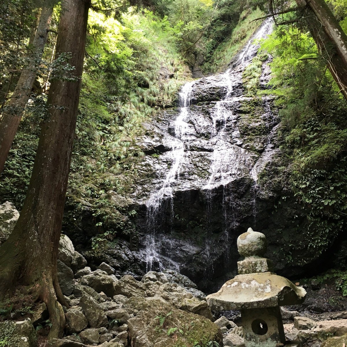 22年 飛龍の滝 行く前に 見どころをチェック トリップアドバイザー