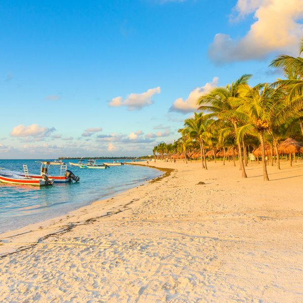 THE 15 BEST Things to Do in Riviera Maya (Updated 2024)