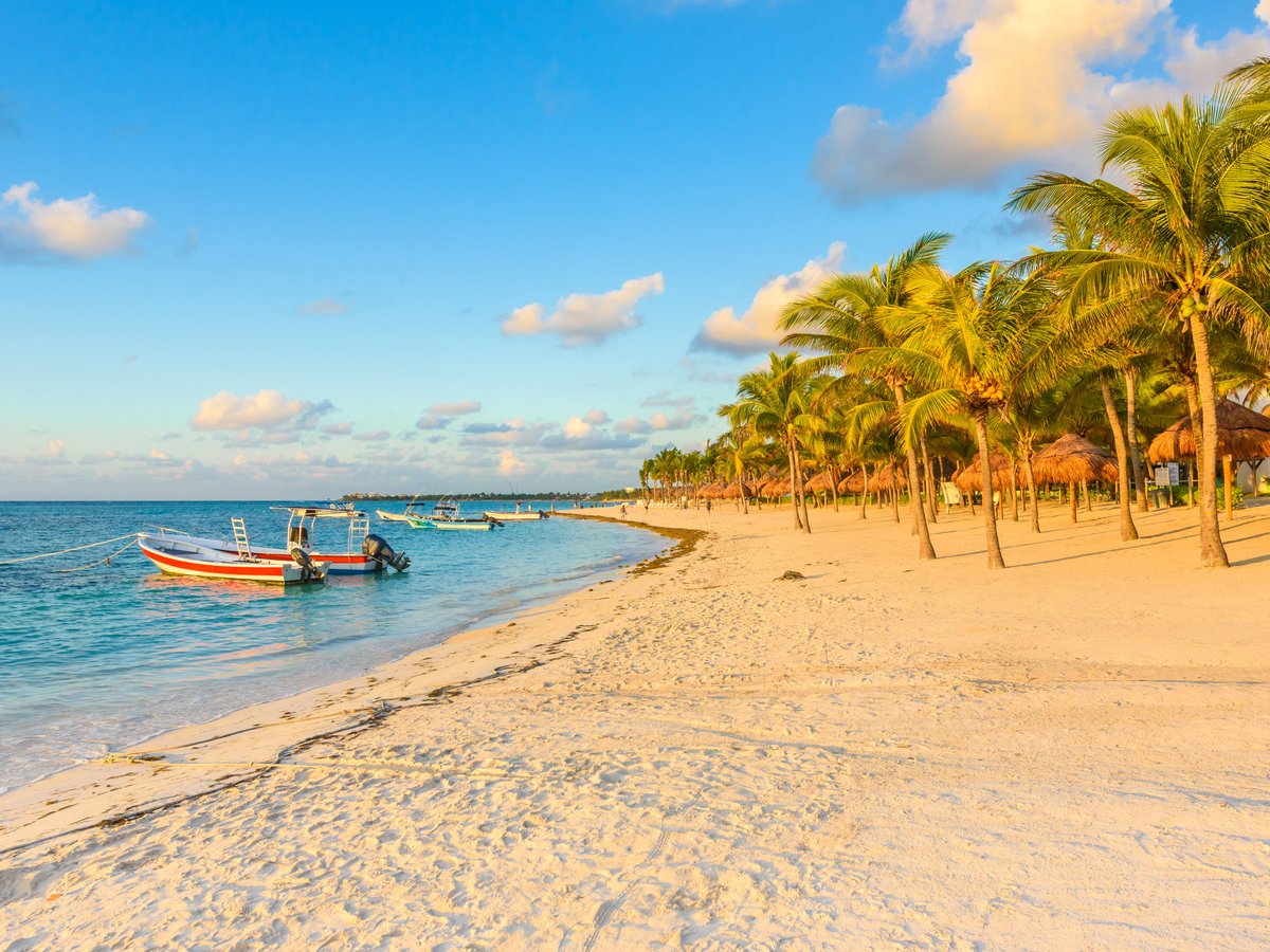 THE 10 BEST Things to Do in Akumal (2024) - Must-See Attractions