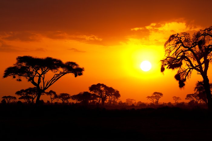 Kenya Tourism (2023): Best of Kenya - Tripadvisor