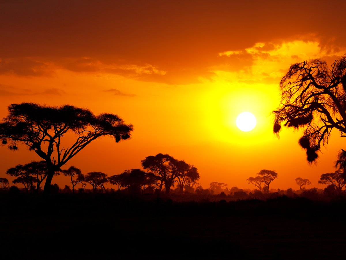 THE 15 BEST Things to Do in Kenya (2024) - Must-See Attractions