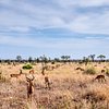 Top 8 Hiking Trails in Kruger National Park, Kruger National Park