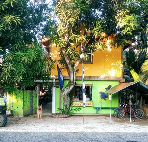 Hostel reception and entrance