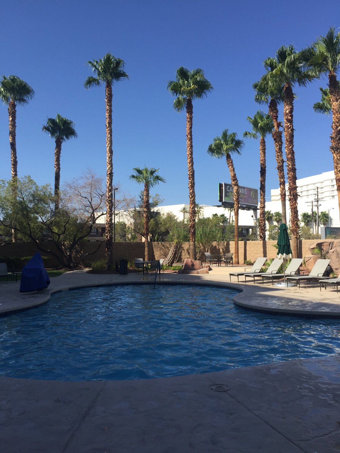 embassy-suites-by-hilton-las-vegas-pool-pictures-reviews-tripadvisor