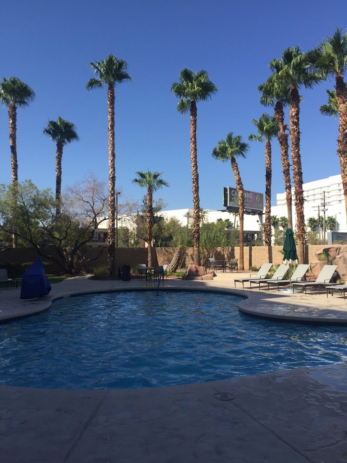 Embassy Suites by Hilton Las Vegas Pool: Pictures & Reviews - Tripadvisor