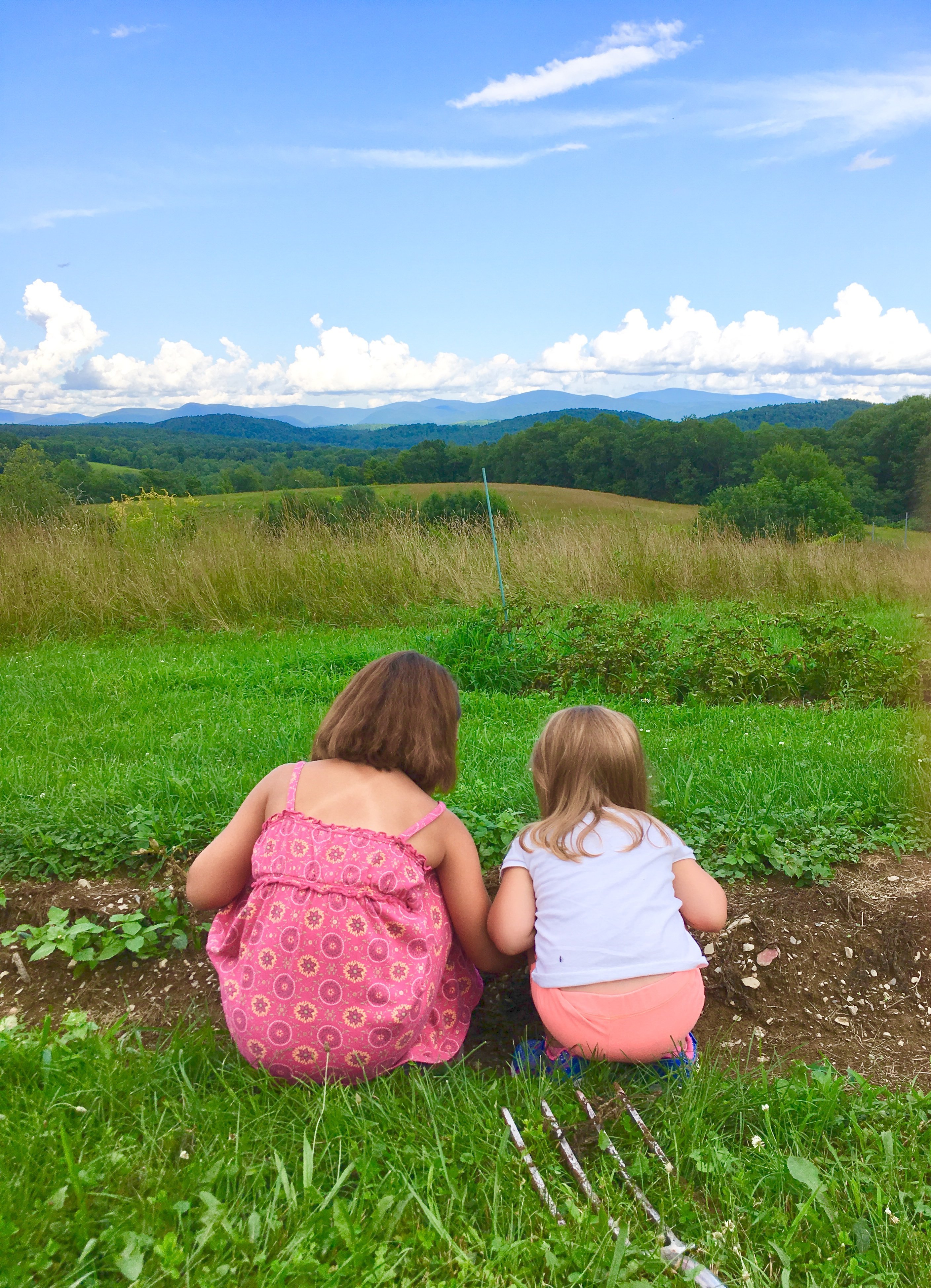 LANT HILL FARM BED & BREAKFAST - B&B Reviews (Argyle, NY)