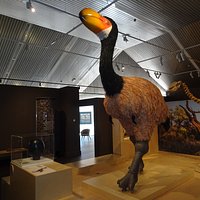 A big bird!