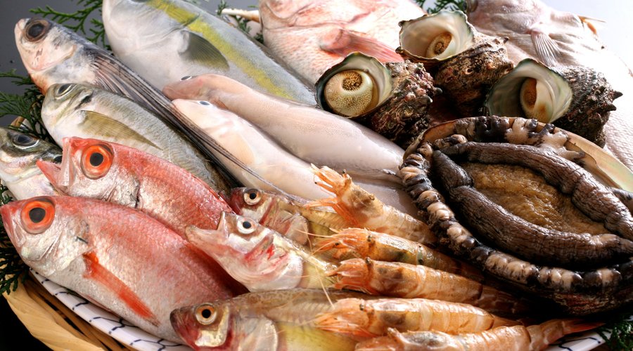 取り扱い鮮魚一例