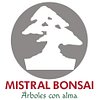 Mistral Bonsai M