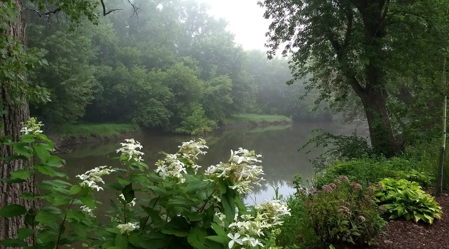 View from inside International garden