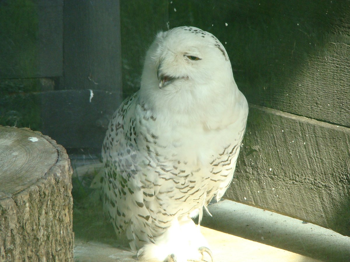 Ochsner Park Zoo (Baraboo) - Lohnt es sich? Aktuell für 2025 (Mit fotos)