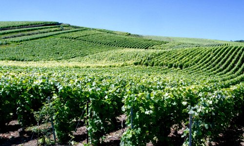Champagne Route