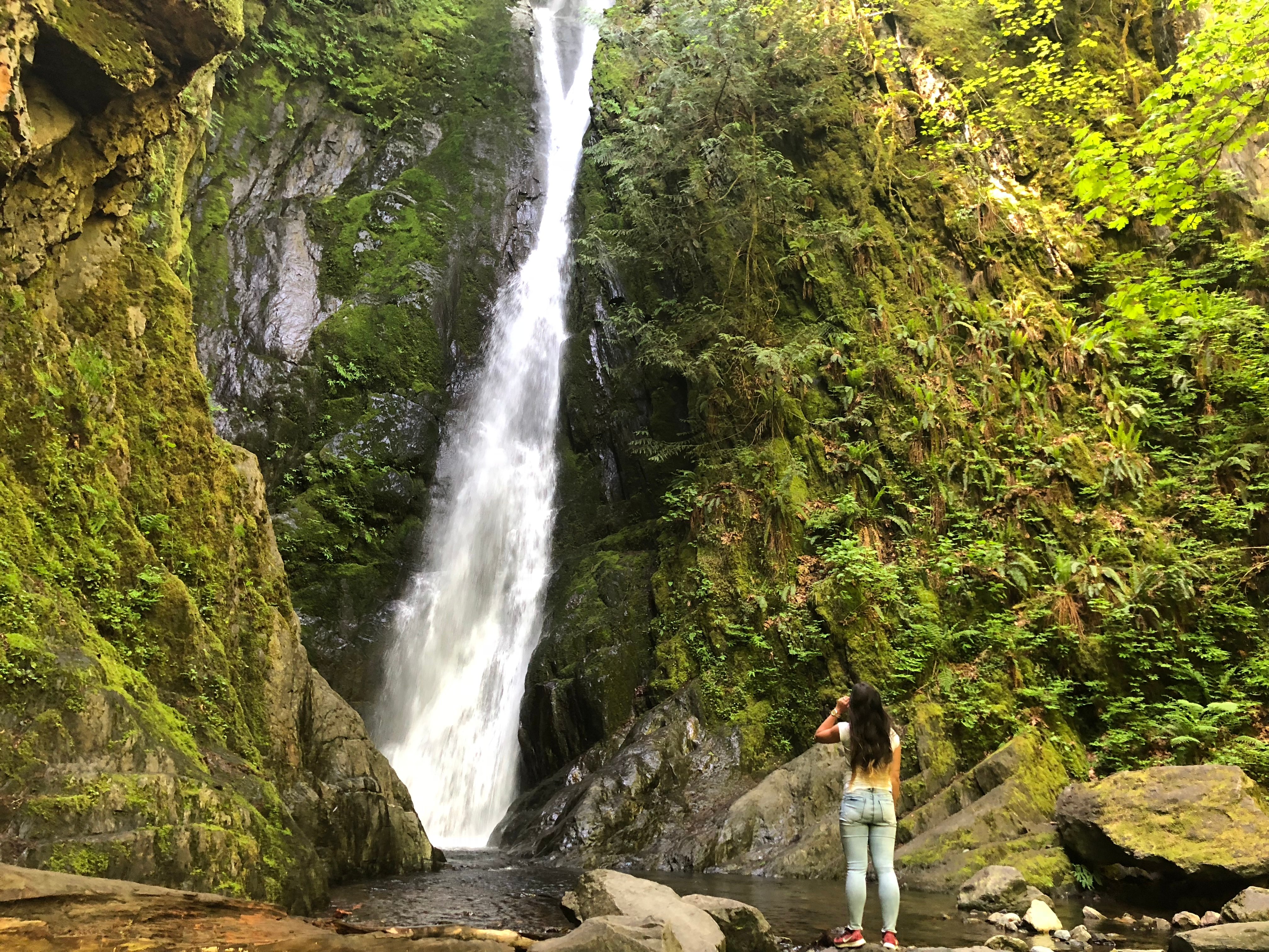 Goldstream campground shop