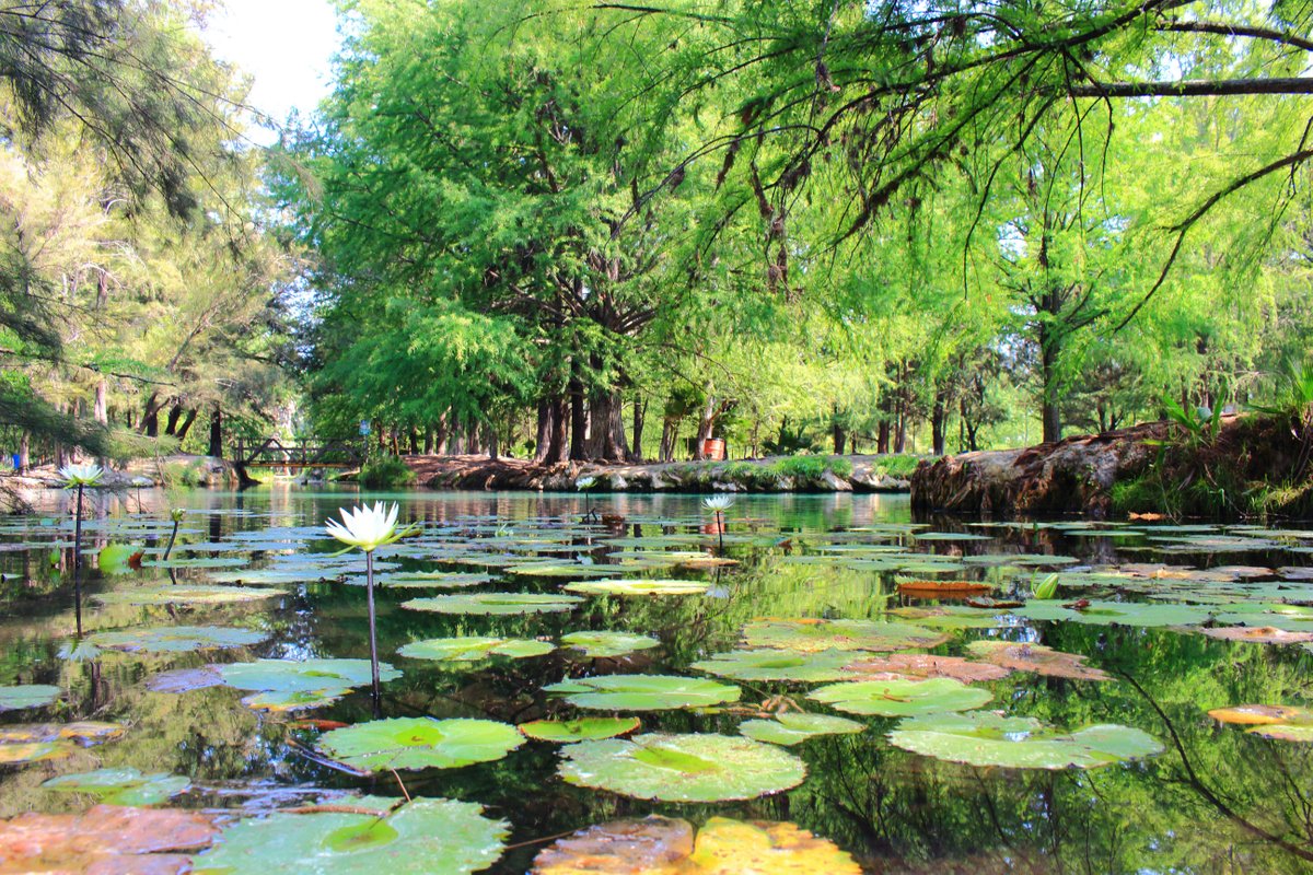 Laguna de la Media Luna (Río Verde) - 2023 Lo que se debe saber antes de  viajar - Tripadvisor